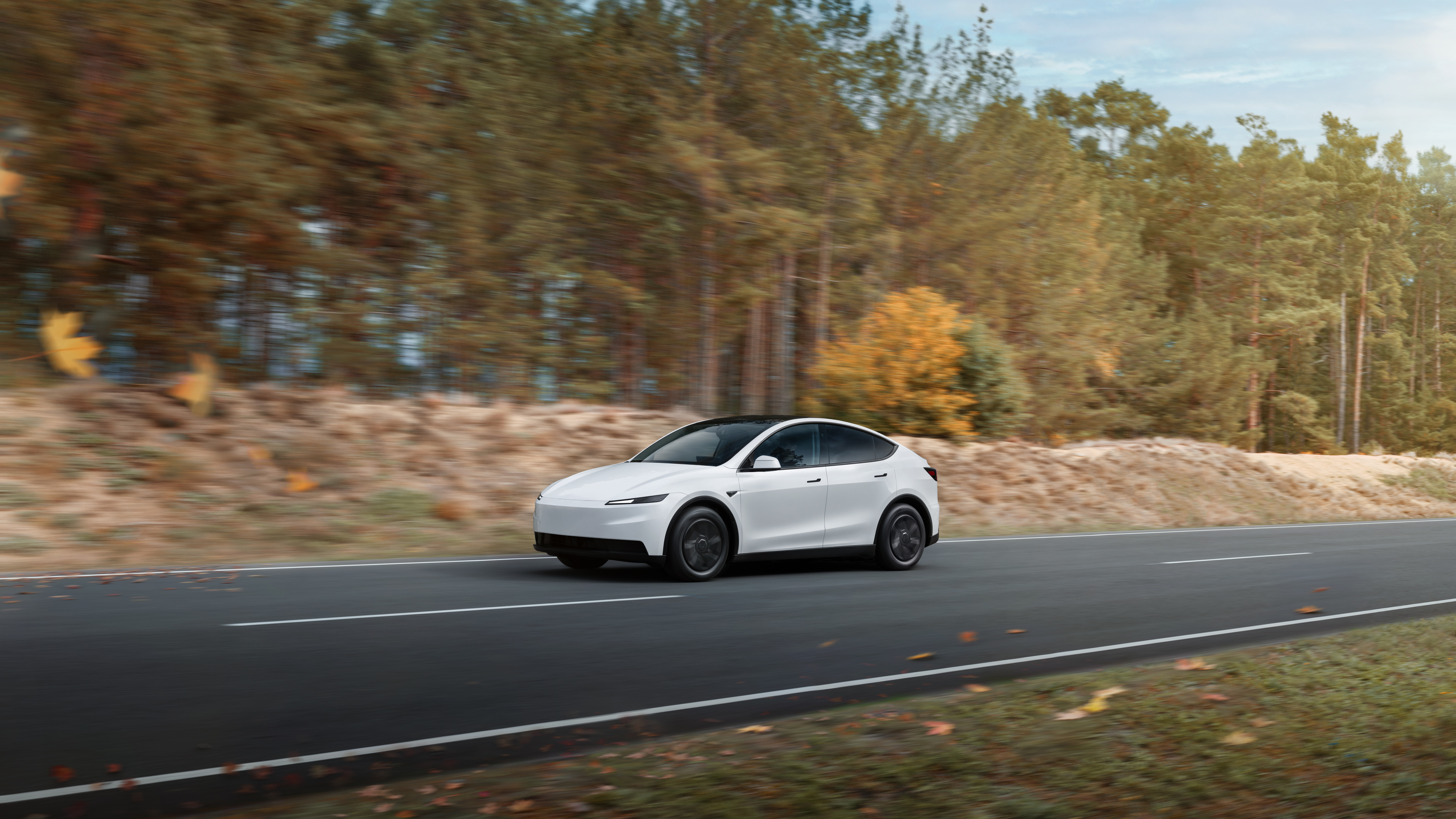 Tesla Model Y on the road
